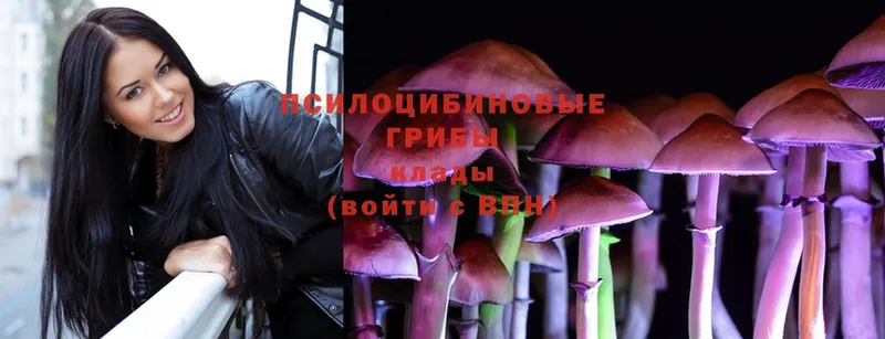 Галлюциногенные грибы Magic Shrooms  Котельнич 